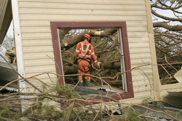 Best Emergency Tree Removal  in Willowbrook, CA